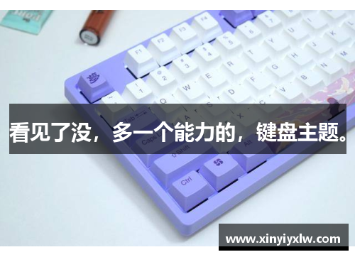 看见了没，多一个能力的，键盘主题。